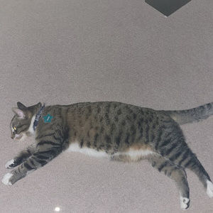 Meet your Posher, Rehan